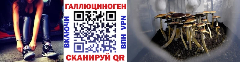 Галлюциногенные грибы MAGIC MUSHROOMS  блэк спрут зеркало  Котовск 
